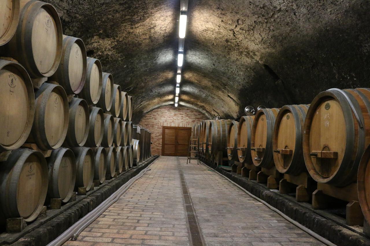 Villa Tolnay Vendeghaz Gyulakeszi Εξωτερικό φωτογραφία