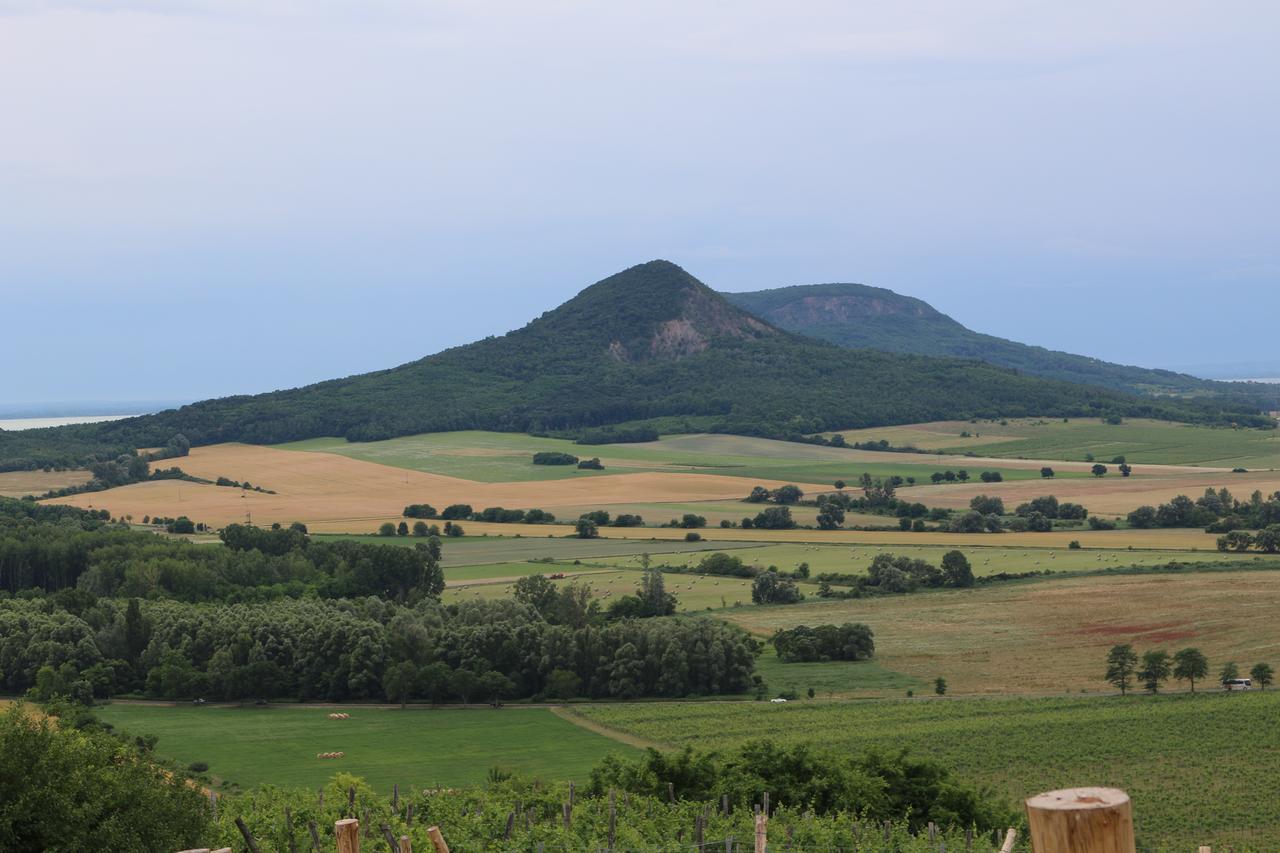 Villa Tolnay Vendeghaz Gyulakeszi Εξωτερικό φωτογραφία