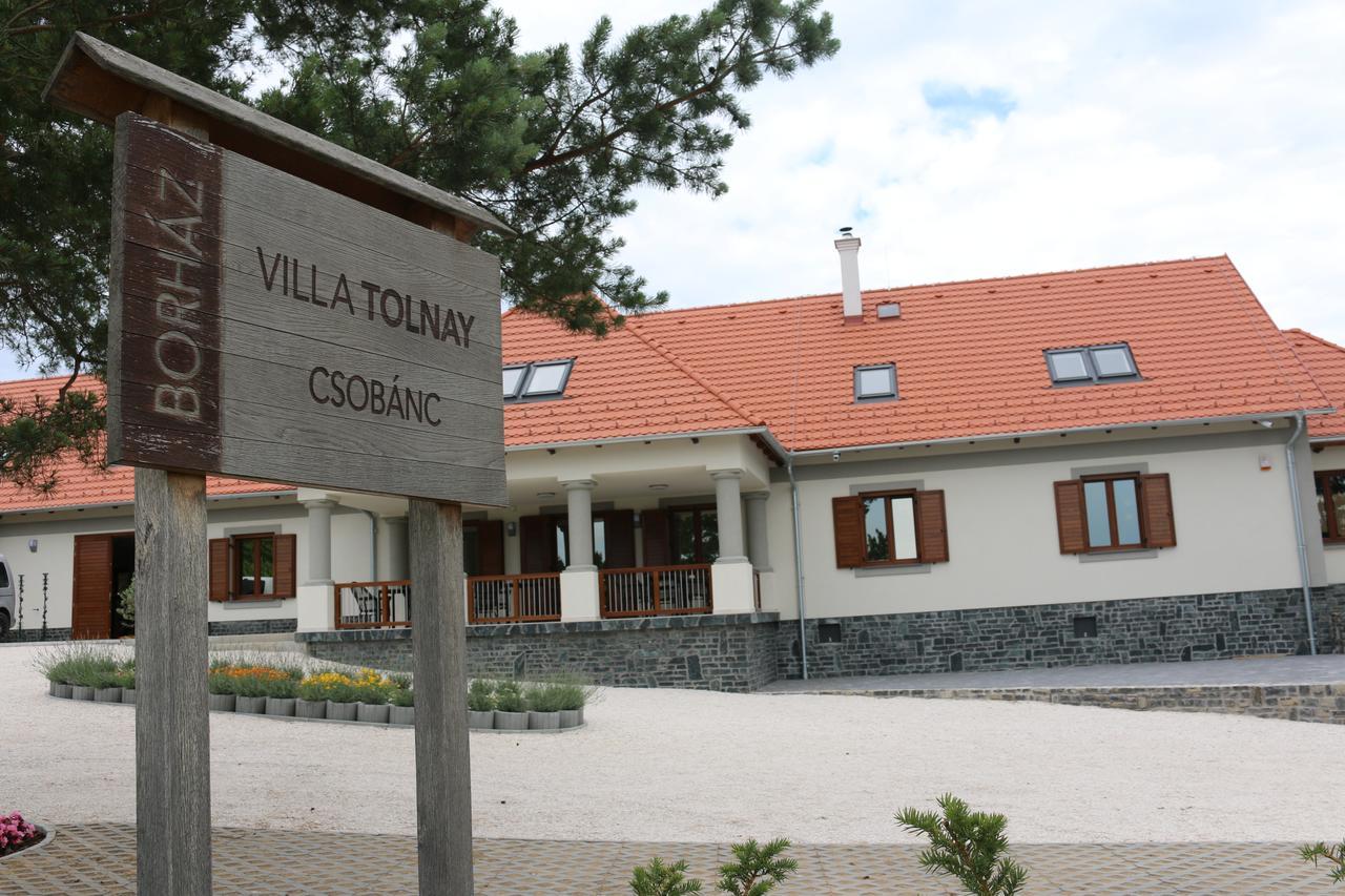 Villa Tolnay Vendeghaz Gyulakeszi Εξωτερικό φωτογραφία