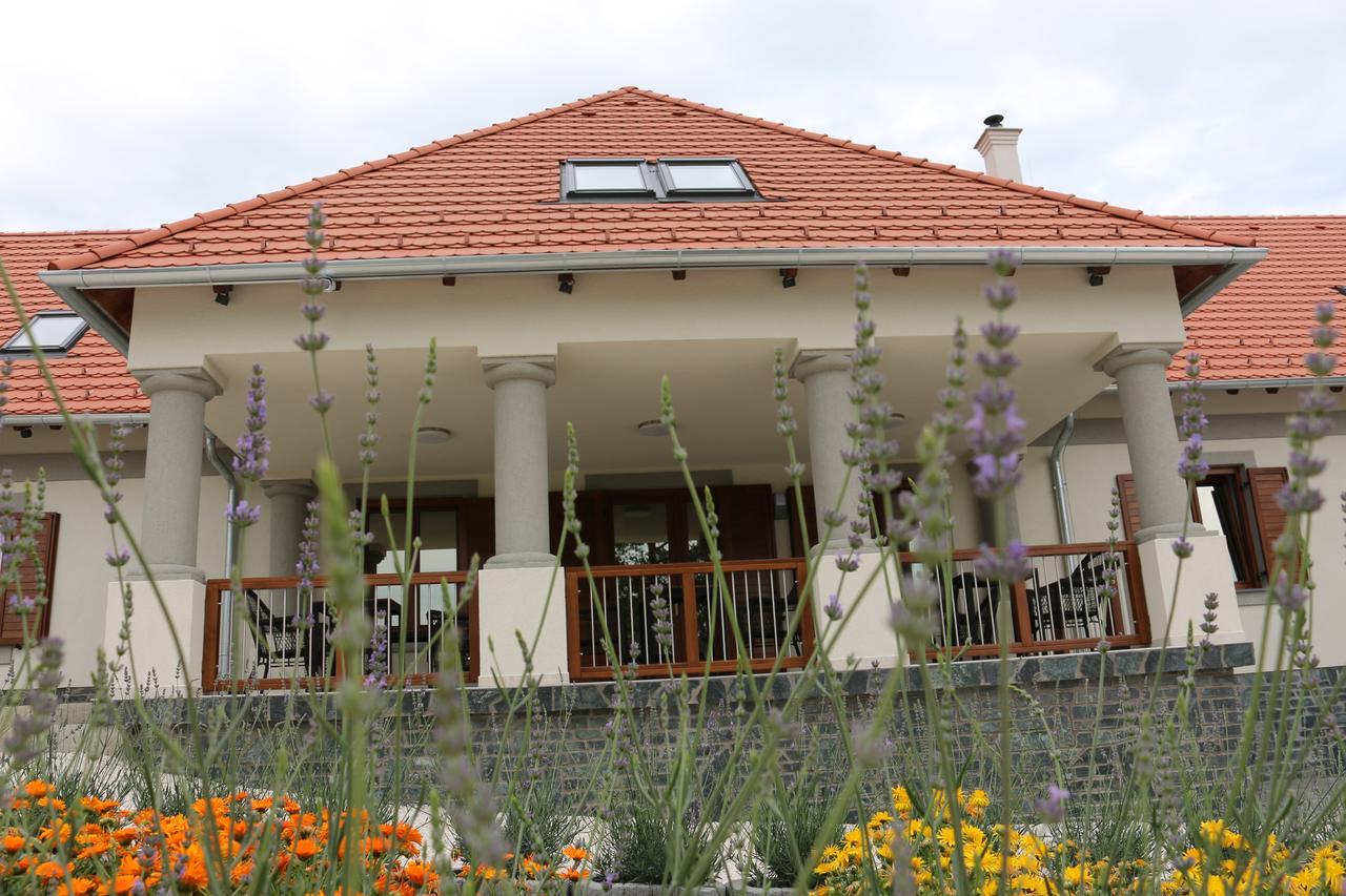 Villa Tolnay Vendeghaz Gyulakeszi Εξωτερικό φωτογραφία