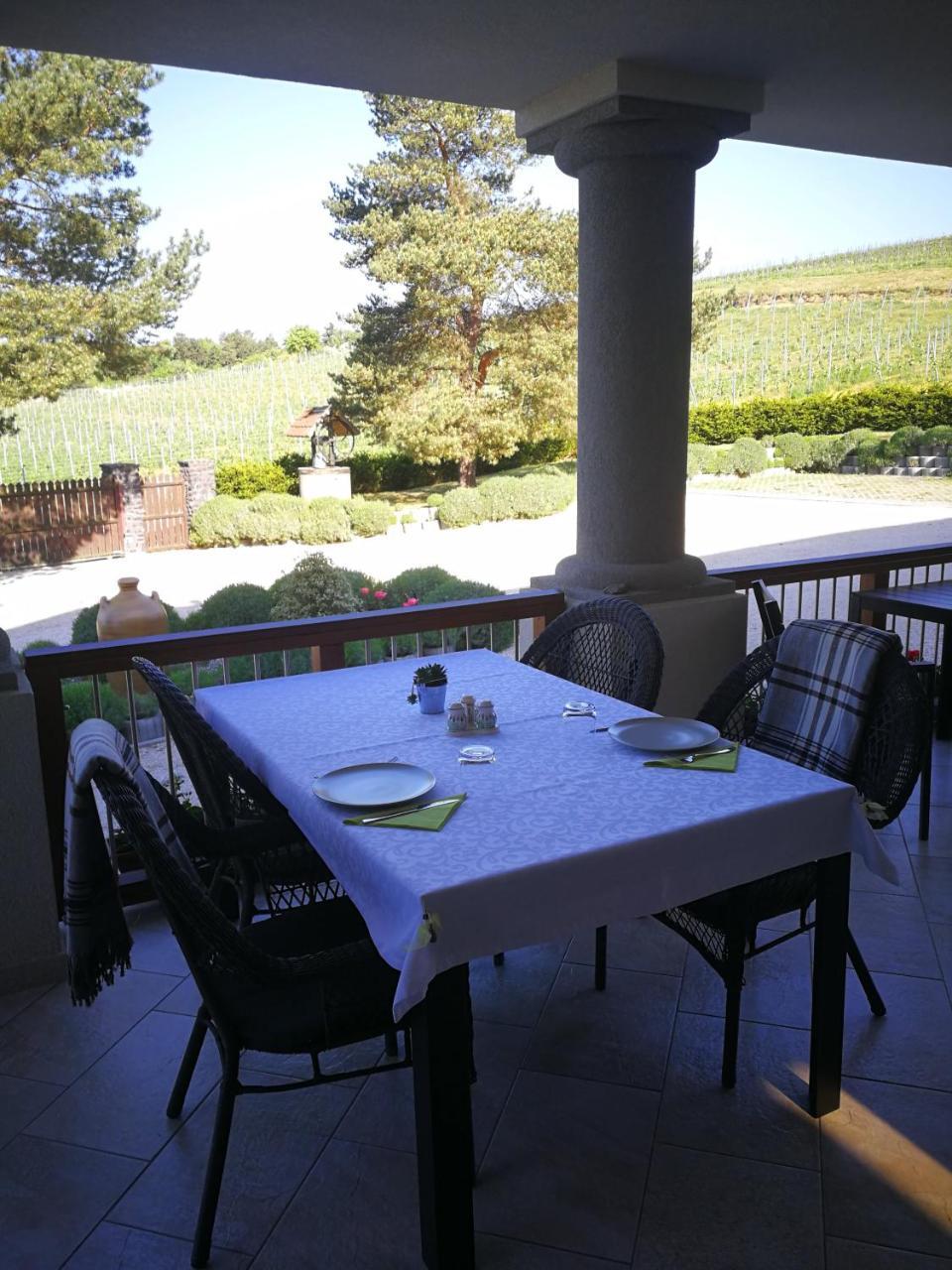 Villa Tolnay Vendeghaz Gyulakeszi Εξωτερικό φωτογραφία